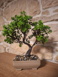 Bonsai artificial in ghiveci cu pietricele, 22cm