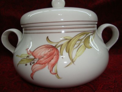 SUPIERA DIN PORTELAN GOEBEL foto