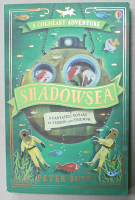 SHADOWSEA , A FANTASTIC VOYAGE OF TERROR AND TRIUMPH by PETER BUNZL , 2020 foto