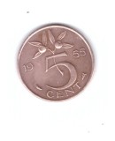 Moneda Olanda 5 cent/centi 1955, stare buna, curata