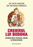 Creierul lui Buddha - Paralela 45