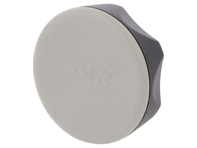 Buton de Reglare Gri &Oslash;45mm Filet M6