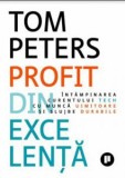 Profit din excelenta. intampinarea curentului tech cu munca uimitoare si slujbe durabile, Publica