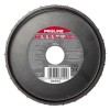 DISC RASPEL CAROTA PLAT / FRONTAL-LATERAL - 120MM, Proline