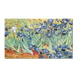 Tablou celebru pictat manual, Irisi la Saint-Remy, 100x60cm ulei pe panza, repro Vincent van Gogh
