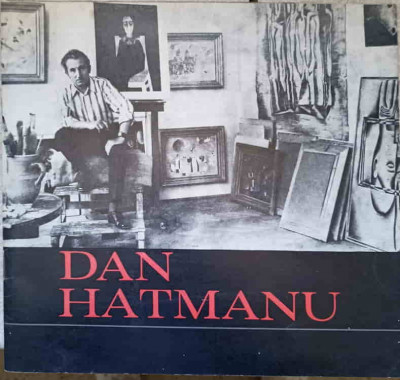 DAN HATMANU. PICTURA-DAN HATMANU foto