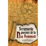 Scripturile gnostice de la Nag Hammadi - Elaine Pagels