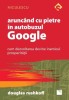 Arunc&acirc;nd cu pietre &icirc;n autobuzul Google, 2016