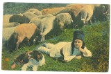4194 - ETHNIC, Shepherd, Romania - old postcard - used - 1913, Circulata, Printata