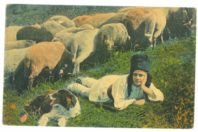 4194 - ETHNIC, Shepherd, Romania - old postcard - used - 1913 foto