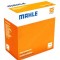 Mahle Set segmenti piston