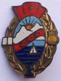 Insigna CCS