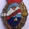 Insigna CCS
