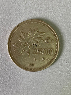 Moneda 2500 lire - 2500 old lira - 1991 - Turcia - KM 1015 (62) foto