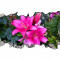Autocolant decorativ, Gaura in perete, Arbori si flori, Multicolor, 83 cm, 415ST-3