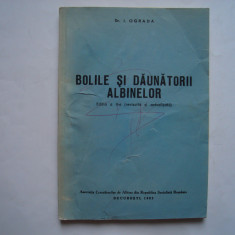 Bolile si daunatorii albinelor - I. Ograda