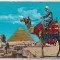 bnk cp Egipt - Beduin la piramide - uzata