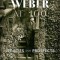 Max Weber at 100