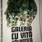Constantin Toiu - Galeria cu Vita Salbatica