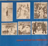 TARANUL IN PLASTICA ROMANEASCA (PICTURA, GRAFICA, DOCUMENTE)-MARIA HATMANU-253209