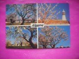 HOPCT 18624 ALGARVE PRIMAVARA -PORTUGALIA-EUROPA- -CIRCULATA