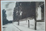 Carte postala, Bucuresti Scoala Centrala de Fete, latura scolii dinspre gradina Icoanei, perioada interbelica