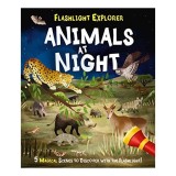 Flashlight Explorers: Animals at Night