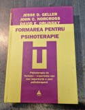 Formarea pentru psihoterapie Jesse D. Geller