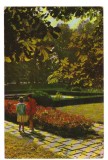 CPIB 18452 CARTE POSTALA - MEDGIDIA, PARC, RPR