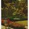 CPIB 18452 CARTE POSTALA - MEDGIDIA, PARC, RPR