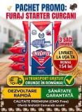Pachet promo starter Curcani