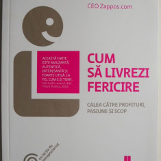 Cum sa livrezi fericire. Calea catre profituri pasiune si scop – Tony Hsieh