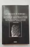 Bazele matematicii signadforasice - Octavian N. Voinoiu