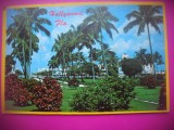 HOPCT 7597 HOLLYWOOD FLORIDA -SUA-AMERICA DE NORD -CIRCULATA, Printata