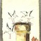 AD 162 C. P. VECHE - FELICITARE -FRANTA CIRCULATA 1917