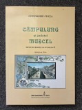 CAMPULUNG SI JUDETUL MUSCEL - Gheorghe Chita