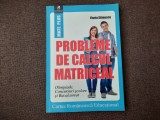 Probleme de calcul matriceal. Olimpiade. Concursuri scolare. - Florin Stanescu