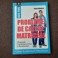 Probleme de calcul matriceal. Olimpiade. Concursuri scolare. - Florin Stanescu