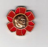 Insigna sovietica cu Lenin, Europa