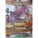 O-NTAMPLARE DE MIRARE-CONSTANTIN PAIU-251710