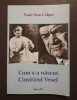 Vasile Stan Colțun - Cum s-a născut Cimitirul Vesel