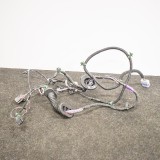 Cablaj ușă st&acirc;nga spate TESLA MODEL S 2018 OEM: 6588K1-14 10645628
