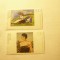 2 Timbre RFG 1994 Pictura