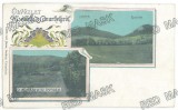 4171 - ODORHEIUL SECUIESC, Harghita, Litho, Romania - old postcard - unused
