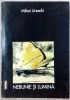 MIHAI URSACHI - NEBUNIE SI LUMINA (VERSURI, 1970-1998) [352 pag.]