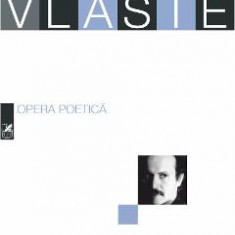 Opera poetica - Calin Vlasie