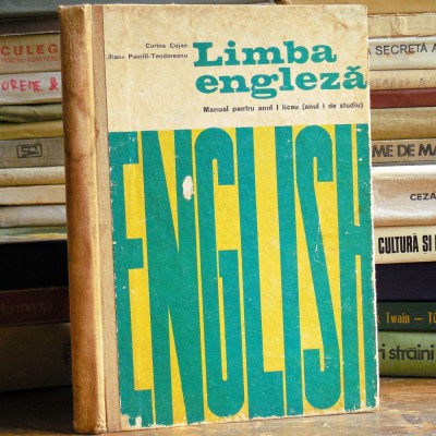 Manual Limba Engleza Clasa a IX-a - Corina Cojan, Liliana Pamfil - Editura Didactica si Pedagogica foto