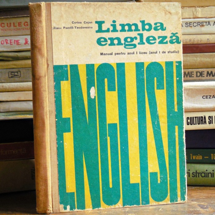 Manual Limba Engleza Clasa a IX-a - Corina Cojan, Liliana Pamfil - Editura Didactica si Pedagogica