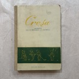 M. Minculescu - Cresa - 1956