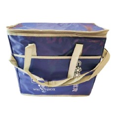 Geanta Frigorifica Izolata 40L 45x21.5x38cm WEI A90001 DNC62080 foto
